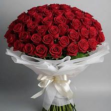 Букет 101 Красная роза Блэк Мэджик в Ленинск-Кузнецком