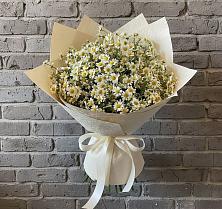 Букет цветов из:  Ромашки в Ленинск-Кузнецком