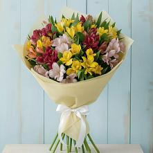 Букет цветов из:  Альстромерии в Ленинск-Кузнецком