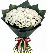 Букет цветов из:  Хризантемы в Ленинск-Кузнецком