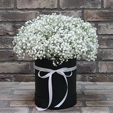 Цветочная композиция из Гипсофила в шляпной коробке #REPLACE_PRED# Ленинск-Кузнецком