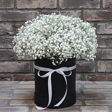 Цветочная композиция из Гипсофила в шляпной коробке в Ленинск-Кузнецком
