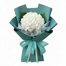 Букет цветов из:  Гортензия #REPLACE_PRED# Ленинск-Кузнецком